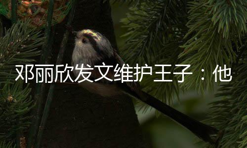 邓丽传统子护王好的非常一个他是欣发文维男生
